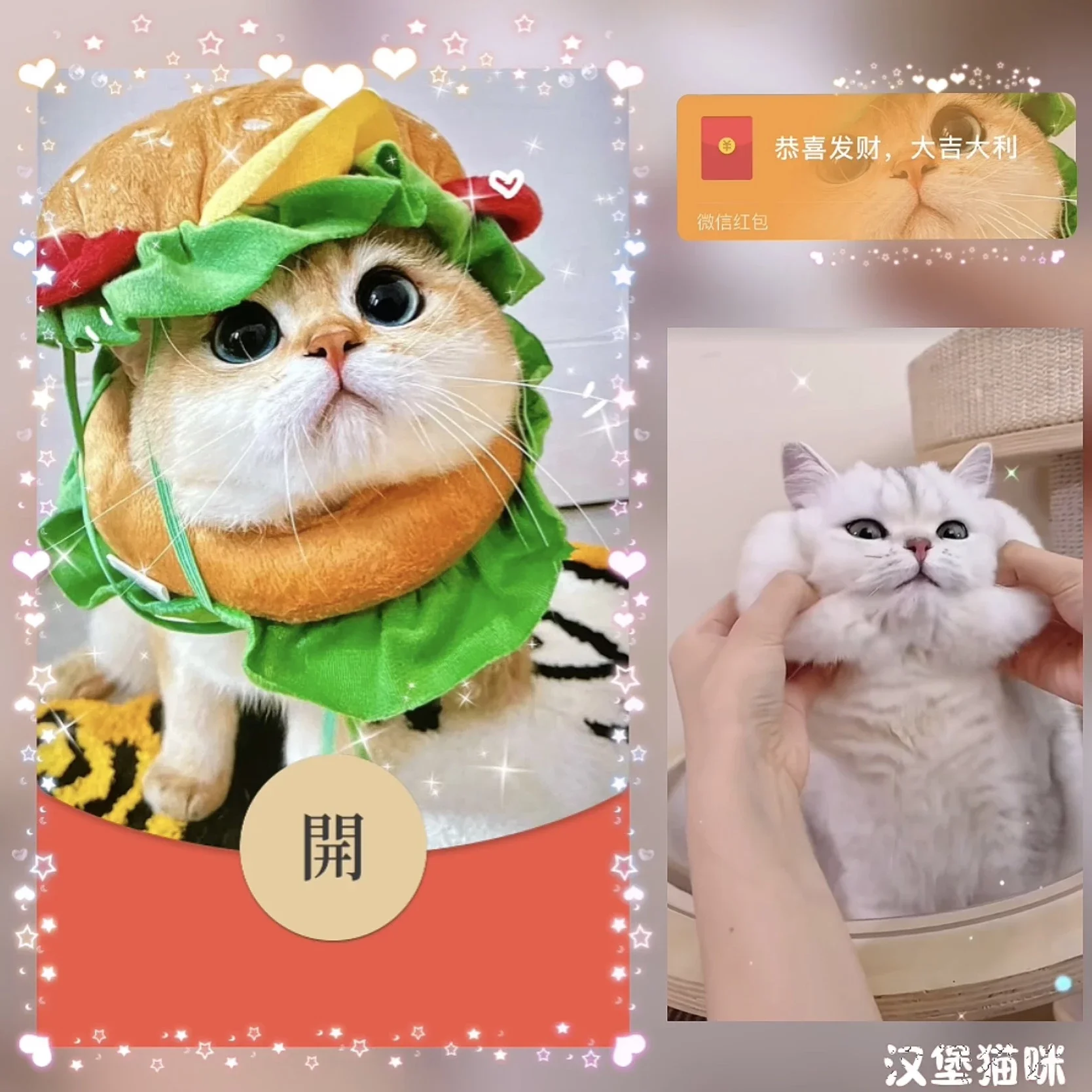 [微信红包封面萌宠系列]汉堡猫咪
