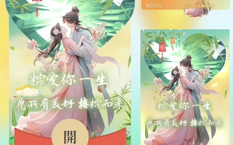 [微信红包封面节日系列]粽爱你一生