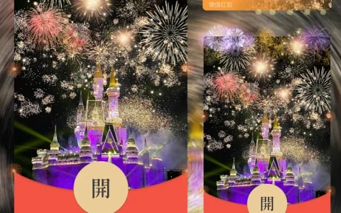[分销特价系列] 紫色烟花