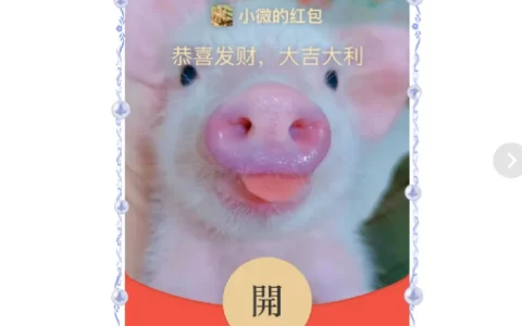 [分销特价系列] 你变成了猪