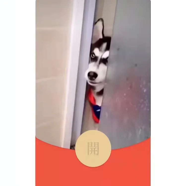 [趣味系列] 出来单挑啊