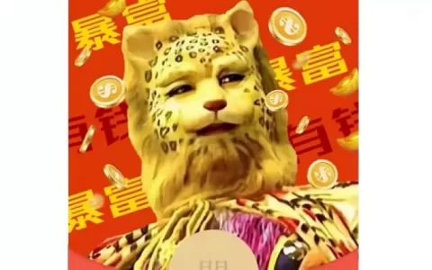[趣味系列] 暴富金钱豹