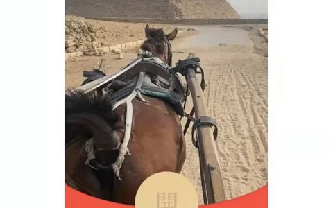 [趣味系列] 玛莎拉蒂