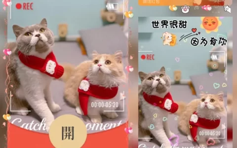 [萌宠系列] 希望你快乐/猫咪/yj