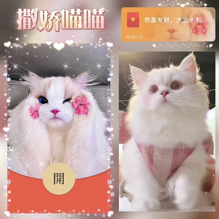 [萌宠系列] 撒娇喵喵/bz