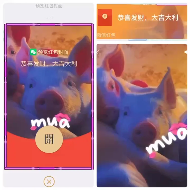 萌宠系列]mua猪猪/新版动态/wxd