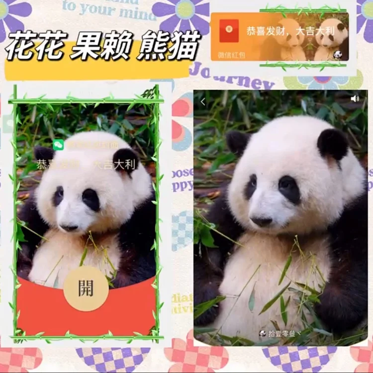 [萌宠系列] 花花 果赖 熊猫/lp