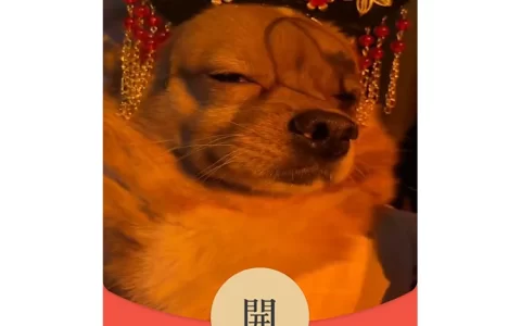 [萌宠系列] 一代毒后/动态音乐