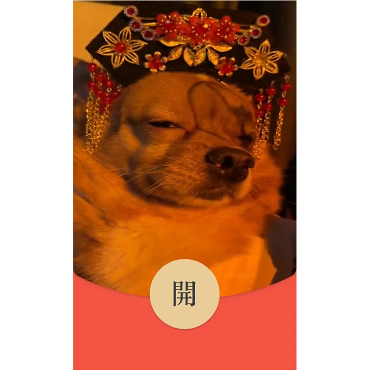 [萌宠系列] 一代毒后/动态音乐