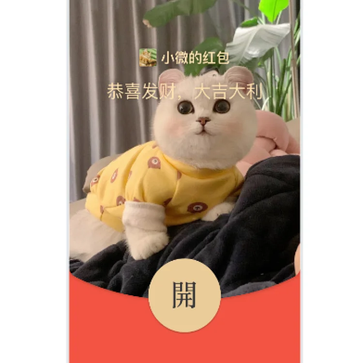 [萌宠系列] 皮卡丘猫/动态音乐