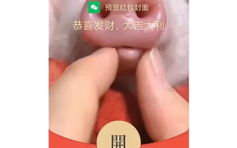 [萌宠系列] 粉嫩猪鼻子/动态音乐