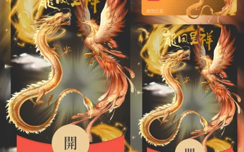 [国潮系列] 龙凤呈祥/wxx