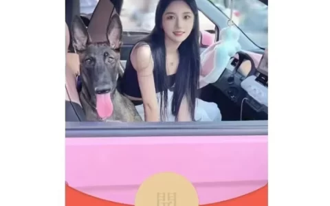 [美女系列] 梦露/DY