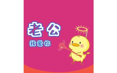[情侣系列] 老公我爱你