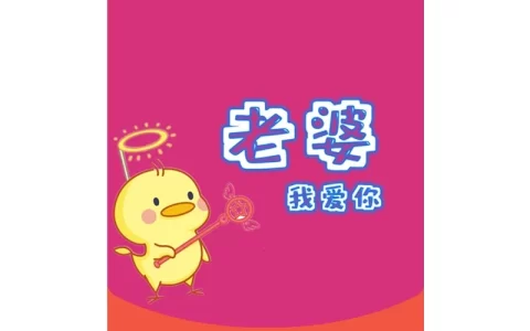 [情侣系列] 老婆我爱你