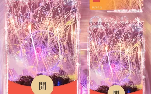 [烟花系列] 粉色摩天轮烟花/wxx