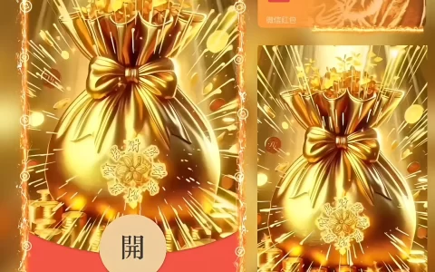 [暴富系列] 暴富金钱袋/新版动态/bao