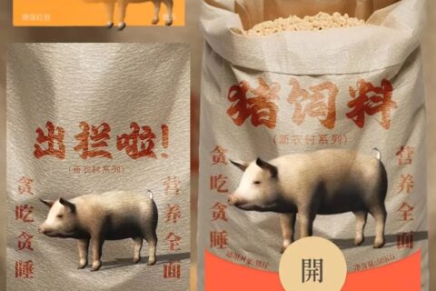 [微信红包封面每日推荐] 猪饲料/新版动态