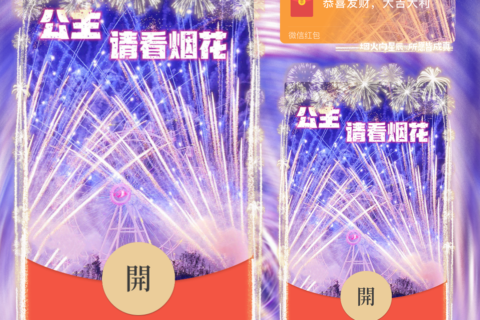 [微信红包封面每日推荐]公主请看烟花D